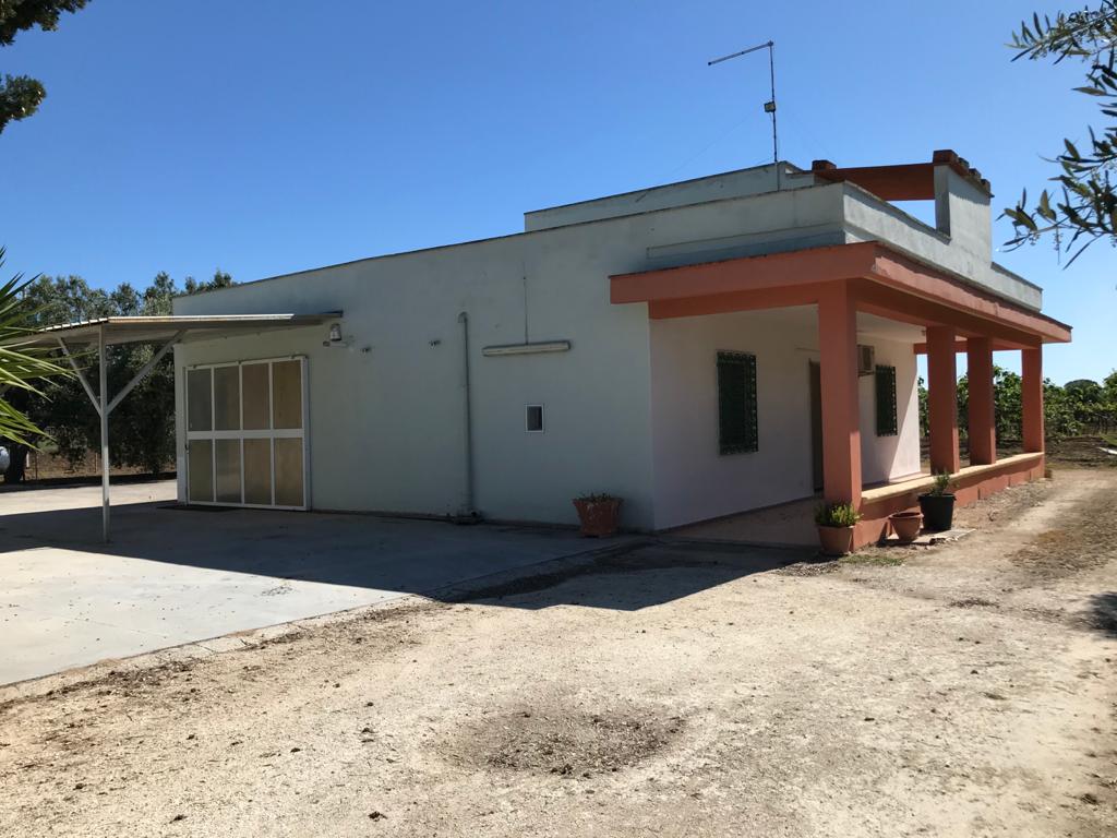 Country house for sale with appurtenant land, olive and fruit trees