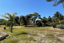 Villa for sale in Francavilla Fontana, in good conditions, with olive grove
