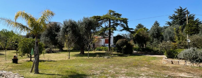Villa for sale in Francavilla Fontana, in good conditions, with olive grove