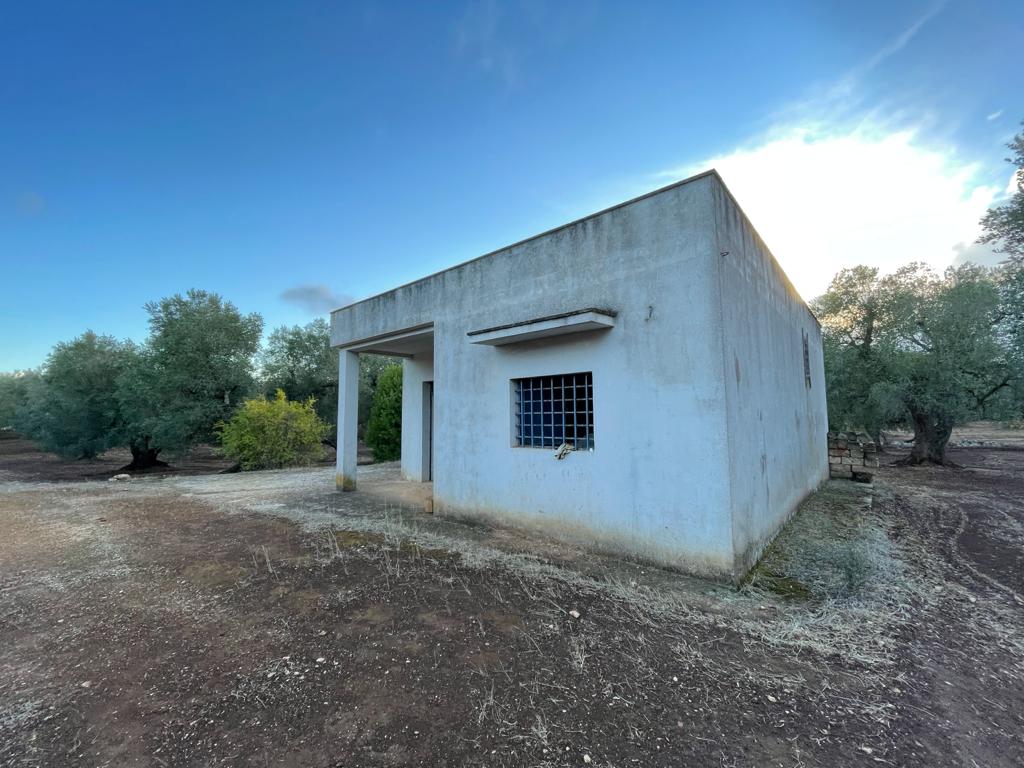 Country house for sale with secular olive grove