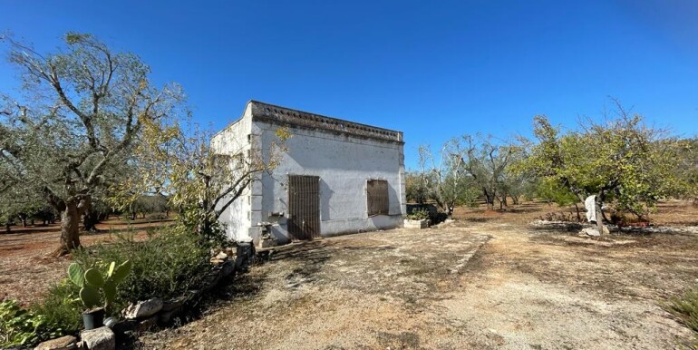 House for sale Francavilla Fontana, with olive grove, to be renovated