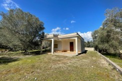 House for sale Francavilla Fontana, with plot of land