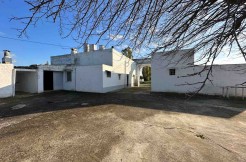 Masseria for sale in Brindisi, with olive grove, good structural conditions